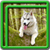 Husky Live Wallpapers icon