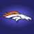 Broncos Fans icon