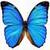 Amazing Beautiful Butterfly icon