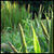 Grass view wallpaper HD icon
