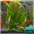 Aquarium Video HD Live Wallpaper icon