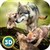 Wild Wolf Quest Online app for free