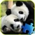 Panda Jigsaw Puzzle icon