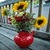 Sunflower Pot Live Wallpaper icon