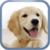 Jigsaw Puzzle Dogs icon