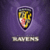 Baltimore Ravens Fan icon