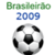 Brasileirao 2009 - Football - Soccer icon