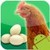 Crazy Hen Lite app for free