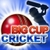 Big Cup Cricket icon