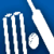 Cricket Facts 240x400 icon