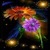 Brighten Flowers Live Wallpaper icon