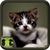 Free Cute Cat Wallpapers icon