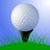 Mini Golf Oid icon