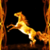 Fire Horse Live Wallpaper Free icon