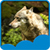 Free Wolf Live Wallpapers icon