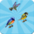 Small Birds Memory Game Free icon