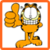 Touch Garfield icon