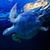 Turtle Underwater Live Wallpaper icon