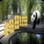 Panda Run Free app for free