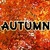 Autumn Wallpapers Live icon