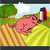 Pig Gash app for free