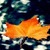 Leaf On Water Live Wallpaper icon