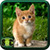 Free Download Cats Wallpaper  icon