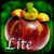 Superfood HD Lite icon