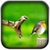 Animal Wallpapers Free icon