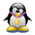Tux Tux Racing app for free