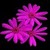 Color Changing Flower LWP icon