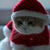 Santa Claus Cat Live Wallpaper icon