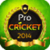 Professional Cricket-2014  icon