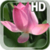 Lotus Live Wallpaper HD icon