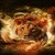 Lion In Fire Live Wallpaper icon