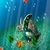 Sea Turtle Aquarium Live Wallpaper icon