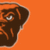 Cleveland Browns Smoke Effect Wallpaper icon