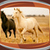 Top Horses Live Wallpapers icon