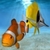 my Fish 3D Aquarium icon