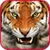 Angry Tigers  icon