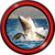 Shark Live Wallpapers Best icon