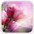 Pink Roses Live Wallpaper for Android icon