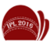 IPL 2016 icon