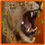 Lion Roar  alarm Clock and Flashlight app for free