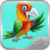 My Talking Parrot icon