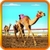 Camel Race 2016 3D icon