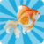 Fish Memory Game Free icon