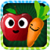 Fruit and Vegetable icon