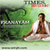Music for Pranayam Lite icon