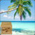 Tropical Palm Beach Live Wallpaper app for free